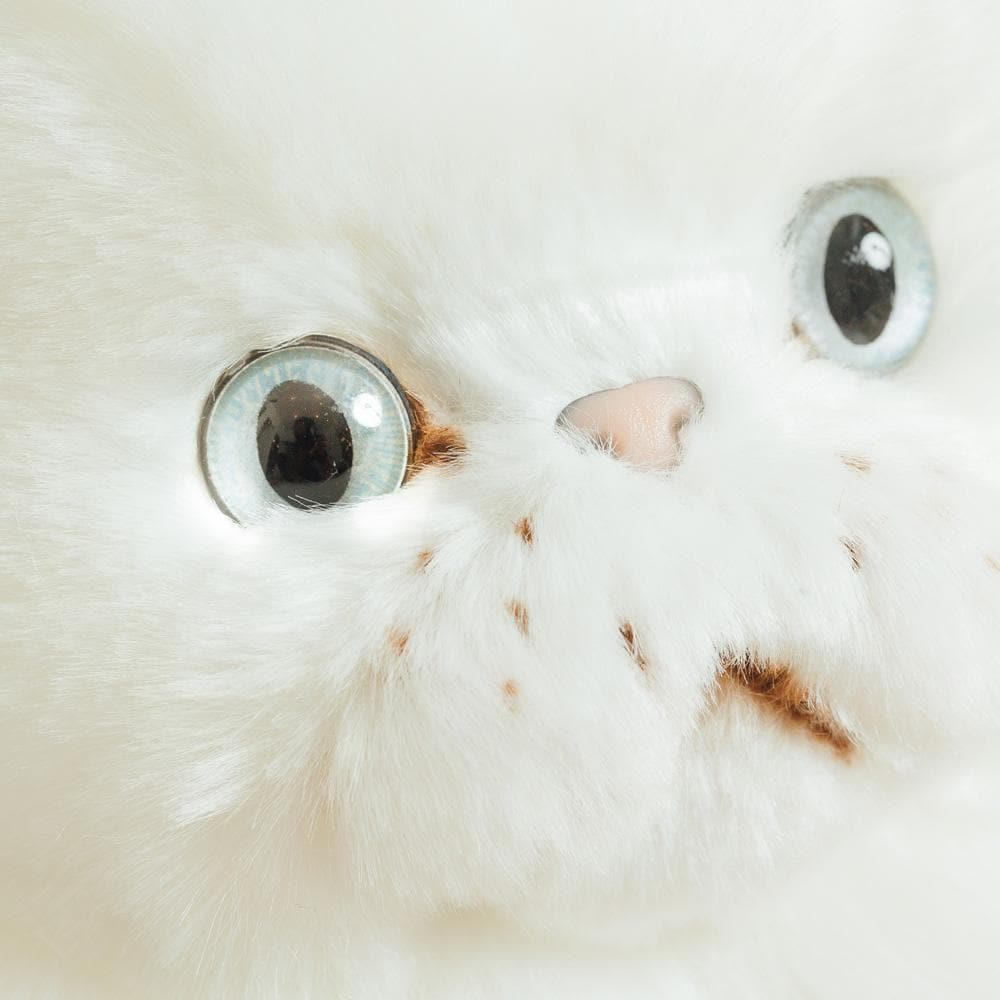 Ma peluche Chat Oscar – Image 3