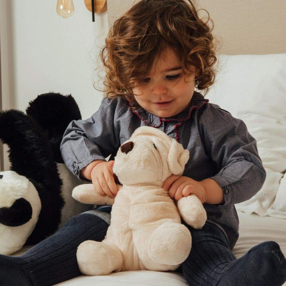 Ma peluche Chien Albert – Image 4