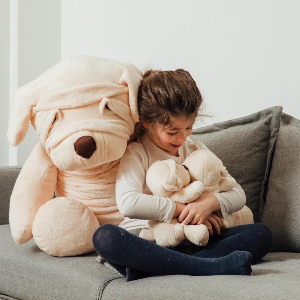 Ma peluche Chien Albert – Image 3