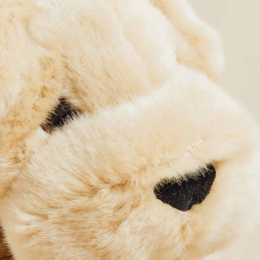 Ma peluche Chien Hector – Image 5