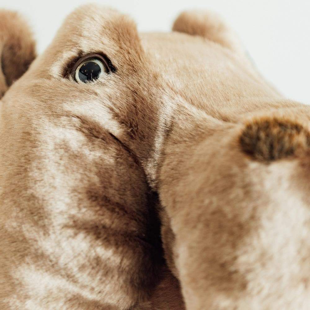 Ma peluche Hippopotame Edgar – Image 3