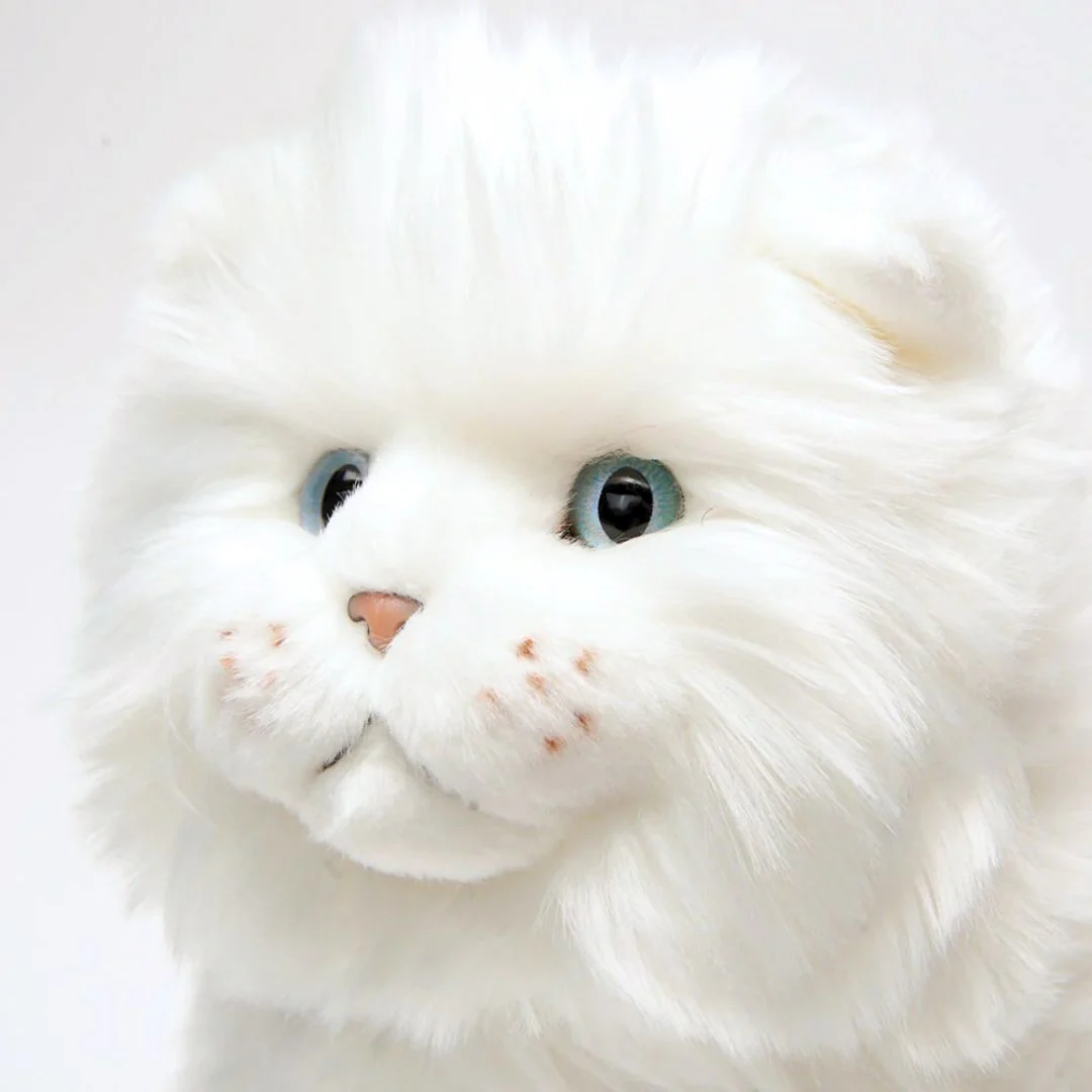 Ma peluche Chat Oscar – Image 2